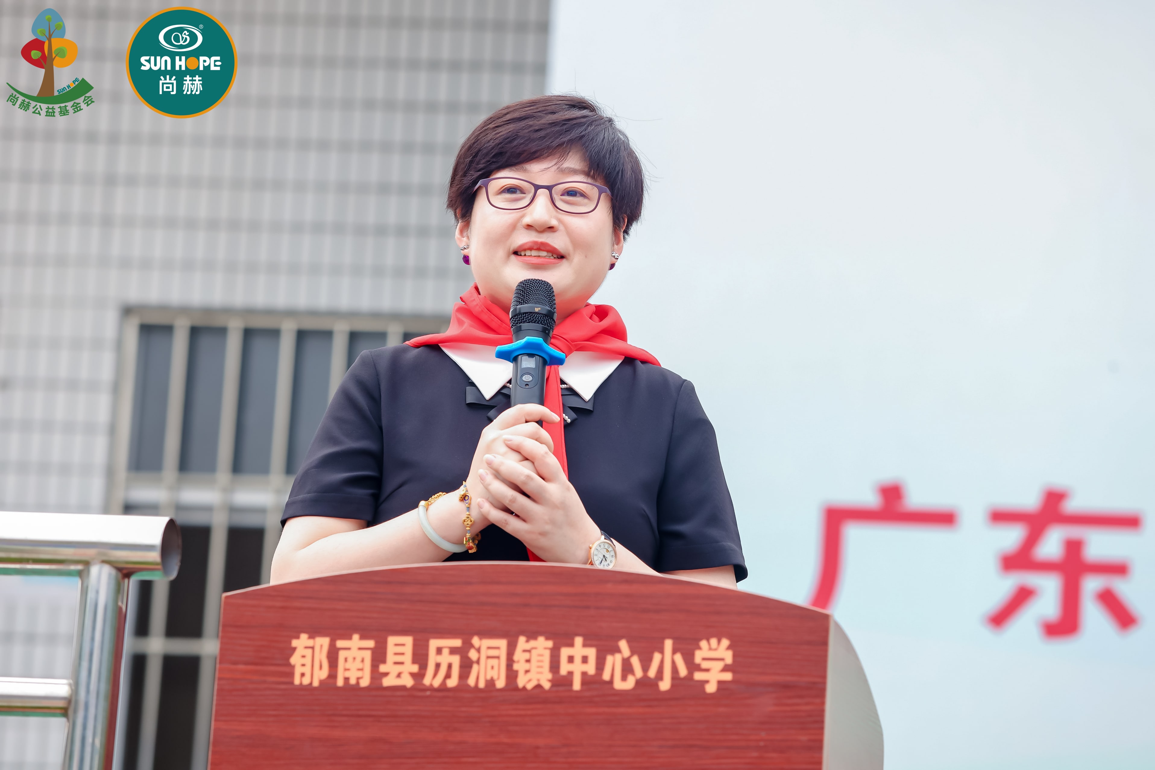 第247所 广东省云浮市郁南县历洞镇尚赫王珊小学 第247所 广东省云浮市郁南县历洞镇尚赫王珊小学